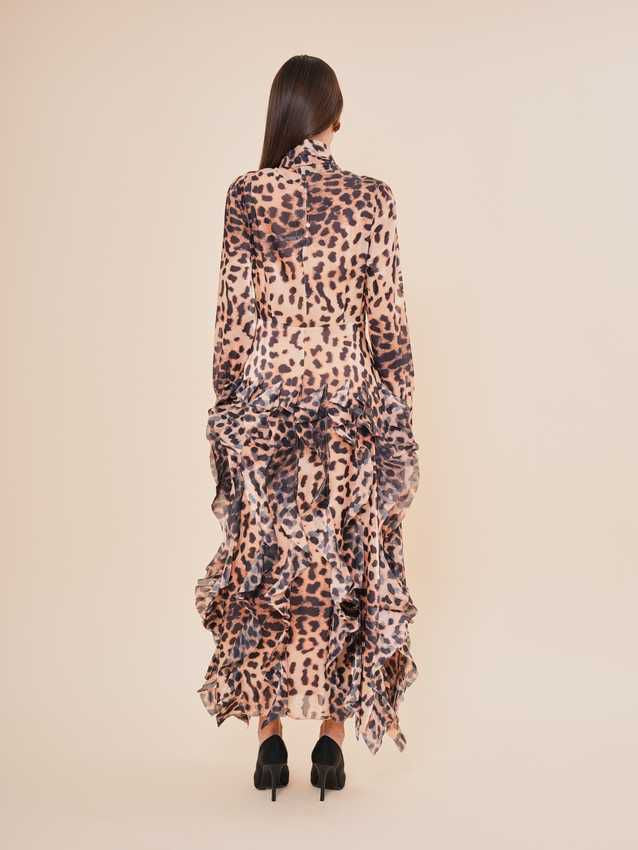 Elegance in a Wildcat Look